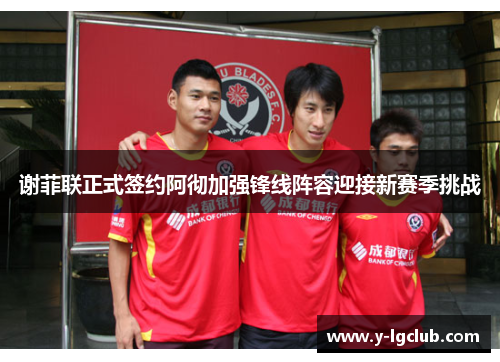 谢菲联正式签约阿彻加强锋线阵容迎接新赛季挑战